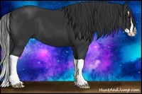Horse Color:Black Splash 