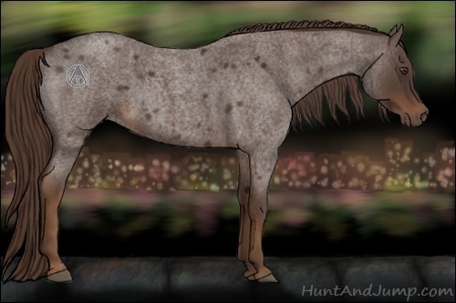 Horse Color:Liver Red Roan 