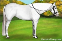 Horse Color:White Spotted Blue Roan Splash Frame Varnish 
