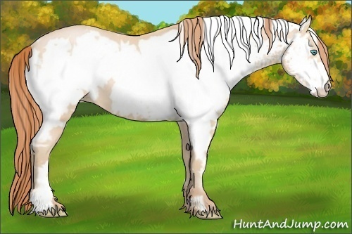 Horse Color:White Spotted Buckskin Pearl Frame