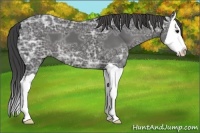 Horse Color:Smoky Black Ice Splash
