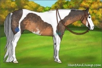 Horse Color:Buckskin Sabino Tobiano