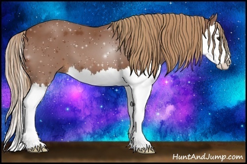 Horse Color:Chestnut Splash 