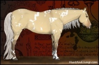 Horse Color:White Spotted Silver Buckskin Dun 