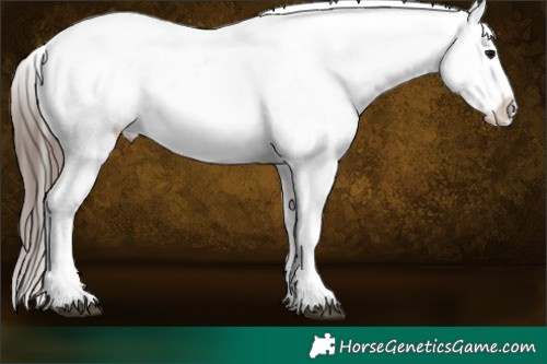 Horse Color:Black Ice Snowcap 