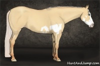 Horse Color:Silver Amber Champagne Roan Dun Splash Frame 