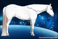 Horse Color:White Spotted Blue Roan Splash Frame Appaloosa