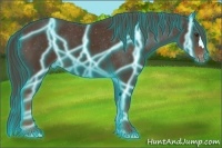 Horse Color:Thunderstruck Liver Chestnut Appaloosa