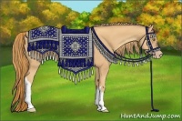 Horse Color:Gold Champagne 