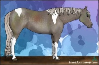 Horse Color:Silver Black Tobiano