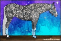 Horse Color:Silver Black Chinchilla Splash