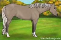 Horse Color:Silver Grullo