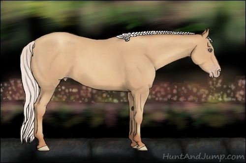Horse Color:Silver Classic Champagne Sabino Frame