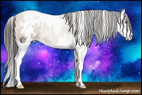 Horse Color:White Spotted Sable Cream Champagne Splash Rabicano 