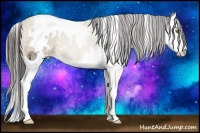 Horse Color:White Spotted Sable Cream Champagne Splash Rabicano 