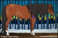 Horse Color:Bay Roan 