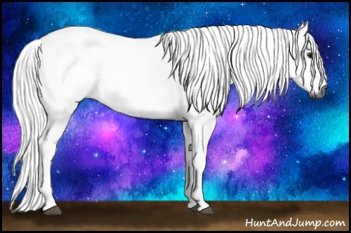 Horse Color:Gray Bay 