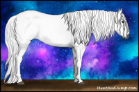 Horse Color:Gray Bay 