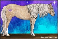 Horse Color:Silver Classic Champagne Ice