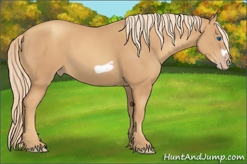 Horse Color:Gold Champagne Frame