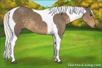 Horse Color:Silver Smoky Black Tobiano Frame 