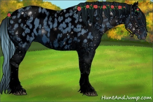 Horse Color:ERROR: UNKNOWN ANOMALY