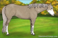 Horse Color:Silver Grullo Sabino 