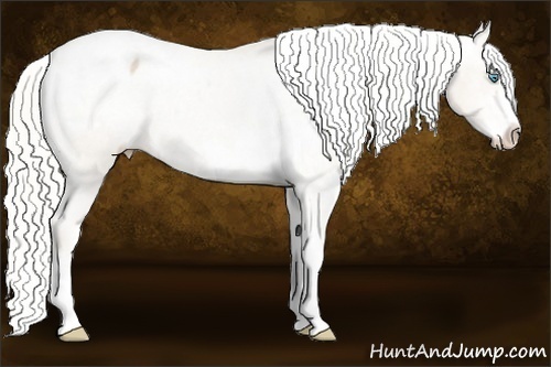 Horse Color:Cremello Sabino Snowcap Rabicano 