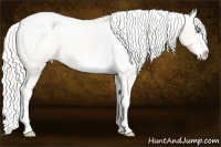 Horse Color:Cremello Sabino Snowcap Rabicano 