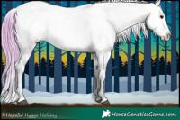 Horse Color:Watercolor Bay Appaloosa 