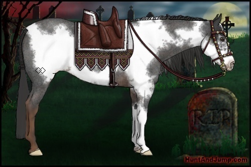 Horse Color:Liver Red Roan Frame 