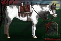 Horse Color:Liver Red Roan Frame 