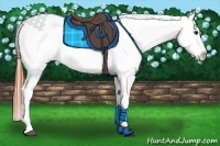 Horse Color:Bay Roan Dun Splash Near Fewspot Rabicano 