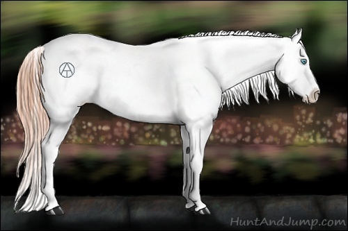 Horse Color:Sable Cream Champagne Roan Pearl Appaloosa