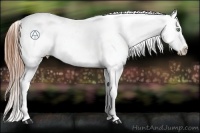 Horse Color:Amber Champagne Roan Snowflake Varnish