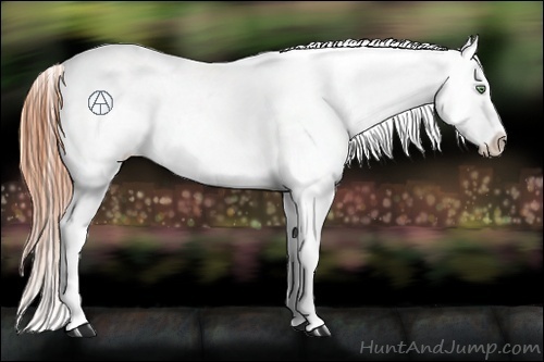 Horse Color:Amber Champagne Roan Varnish