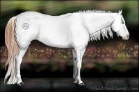 Horse Color:Amber Champagne Roan Varnish
