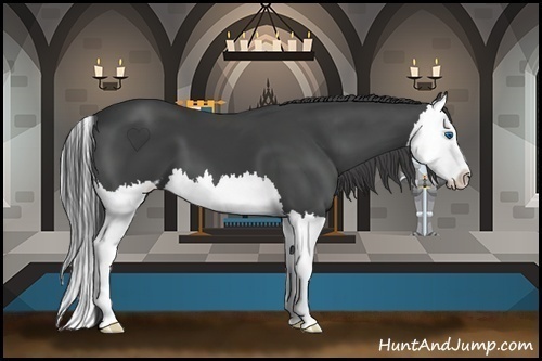 Horse Color:Smoky Black Sabino Splash
