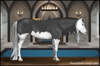 Horse Color:Smoky Black Sabino Splash