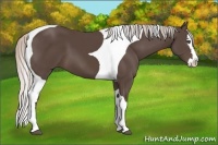 Horse Color:Silver Black Splash Tobiano 