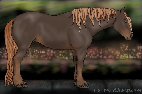 Horse Color:Liver Chestnut