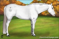Horse Color:Brown Sabino Snowcap 
