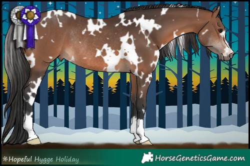 Horse Color:White Spotted Brown Rabicano  Brindle