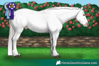 Horse Color:White Spotted Liver Chestnut Mushroom Sabino Appaloosa 