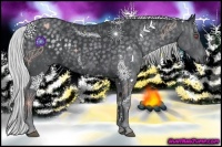 Horse Color:Silver Blue Chinchilla Roan Rabicano  Brindle