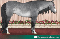 Horse Color:Brown Chinchilla