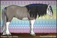 Horse Color:Grullo Splash Rabicano 