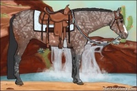 Horse Color:Bay Ice