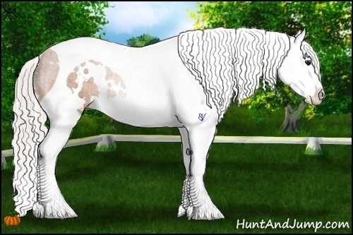 Horse Color:White Spotted Silver Bay Splash Tobiano