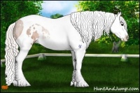 Horse Color:White Spotted Silver Bay Splash Tobiano